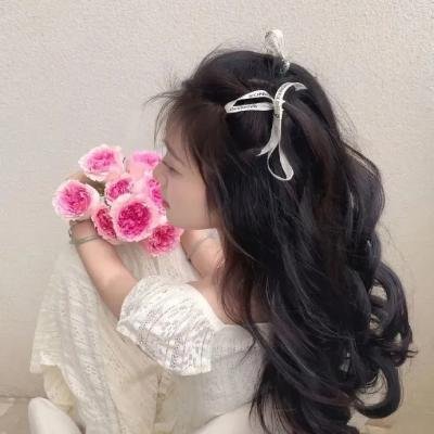苍白骑士